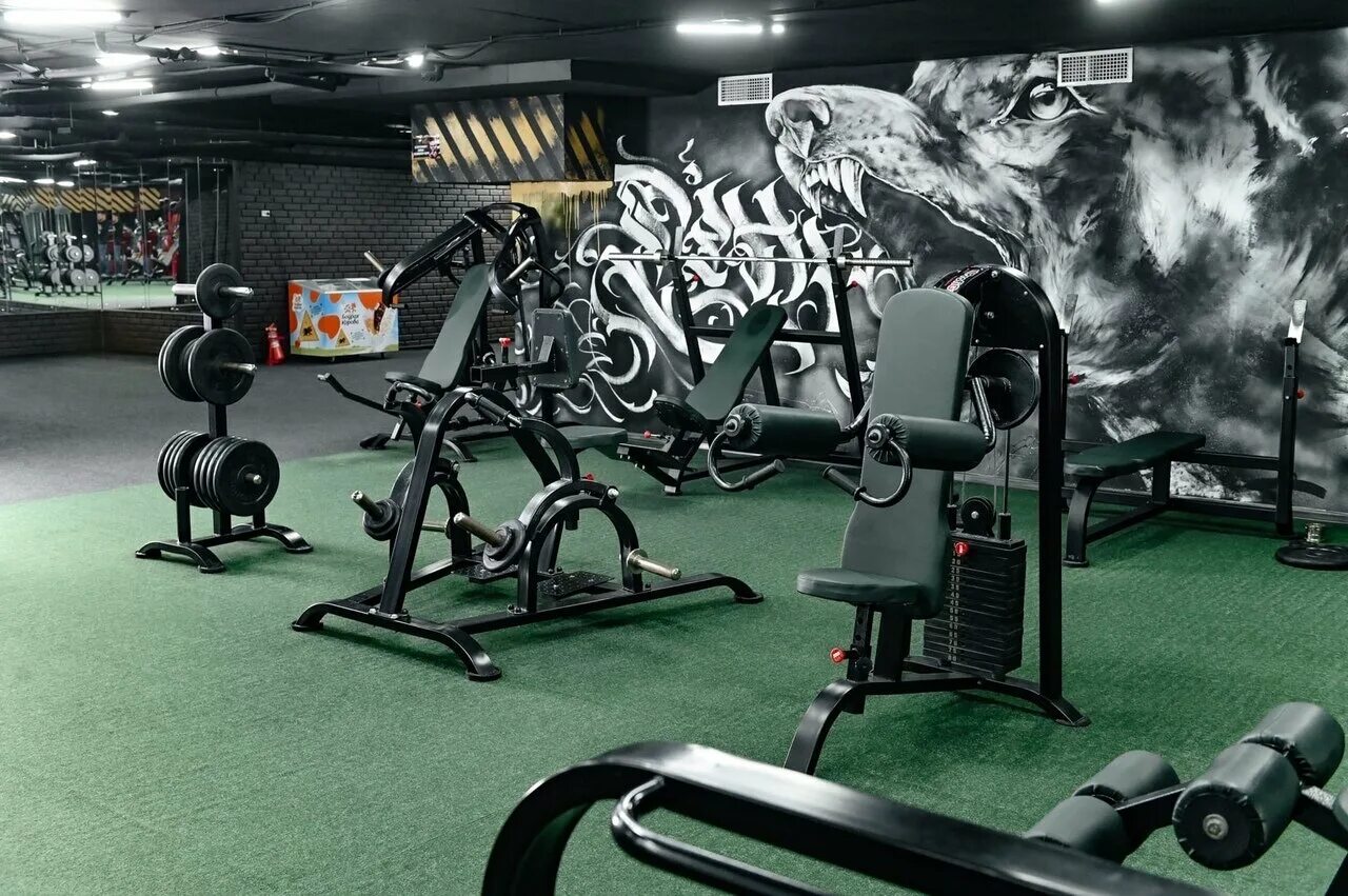 Металлист зал асбест. Спортзал 31. Спортзал z белгород. Тренажерный зал белгород. Спортивный зал белгород.