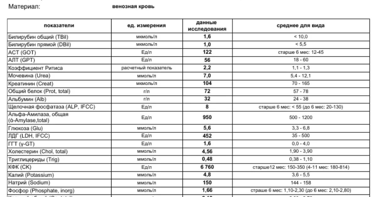 Норма билирубина сколько должно быть