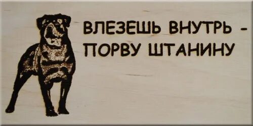 Осторожно, злая собака!. Табличка "злая собака". Табличка злая собака прикольная. Осторожно злая собака для выжигания. Ленка собакина кот