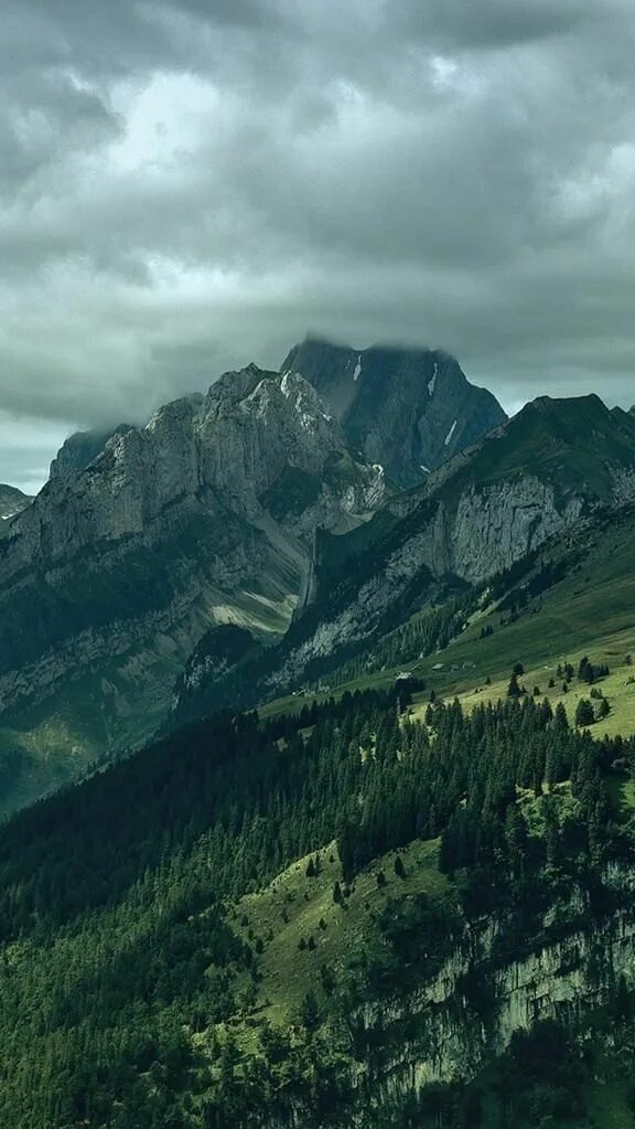 И в лесах т в горах