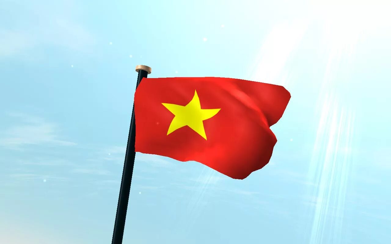 3d flag