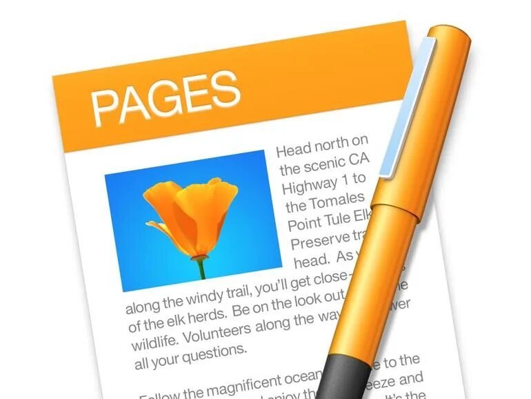 Extensions page. Pages приложение. Apple Pages. IWORK Pages. Apple IWORK Pages логотип.