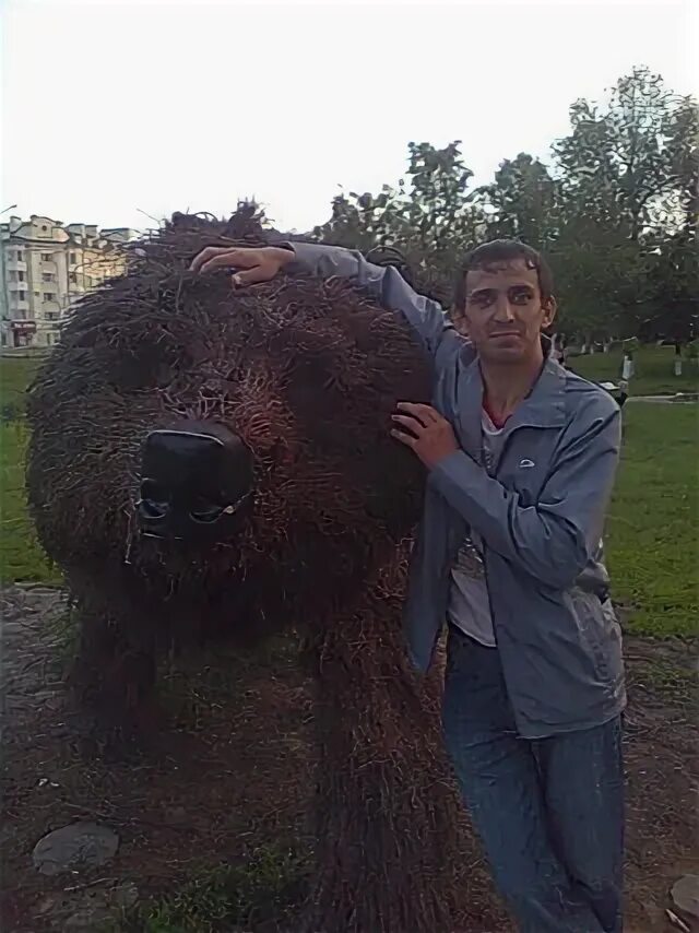 Коробков орел. Коробков орел