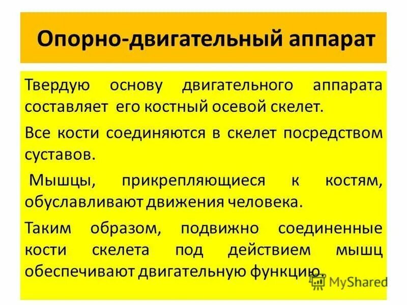 Характеристика двигательной функции. Локомоторная функция. Этапы моторной функции желудка. Характеристика двигательной функции. Функции физической культуры.