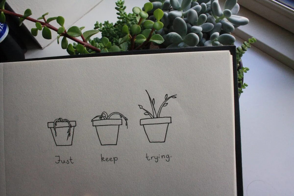 Just keep trying. Растения для скетчбука. Рисунок в скетчбуке в стиле тамблер. Тумблер рисунки для скетчбука. Рисунки для скетчбука в стиле tumblr.