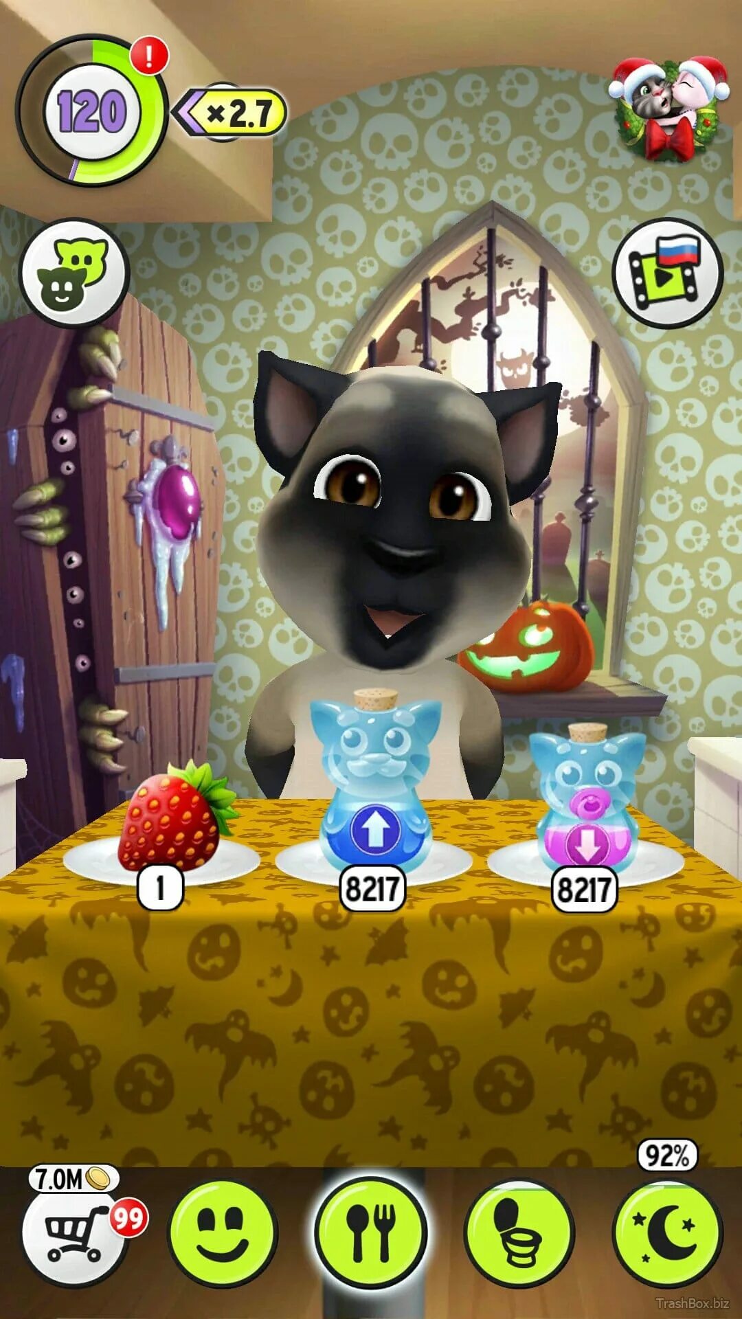Talking tom игры. Том игра. Кот том игра. Говорящий том. Мой говорящий том.