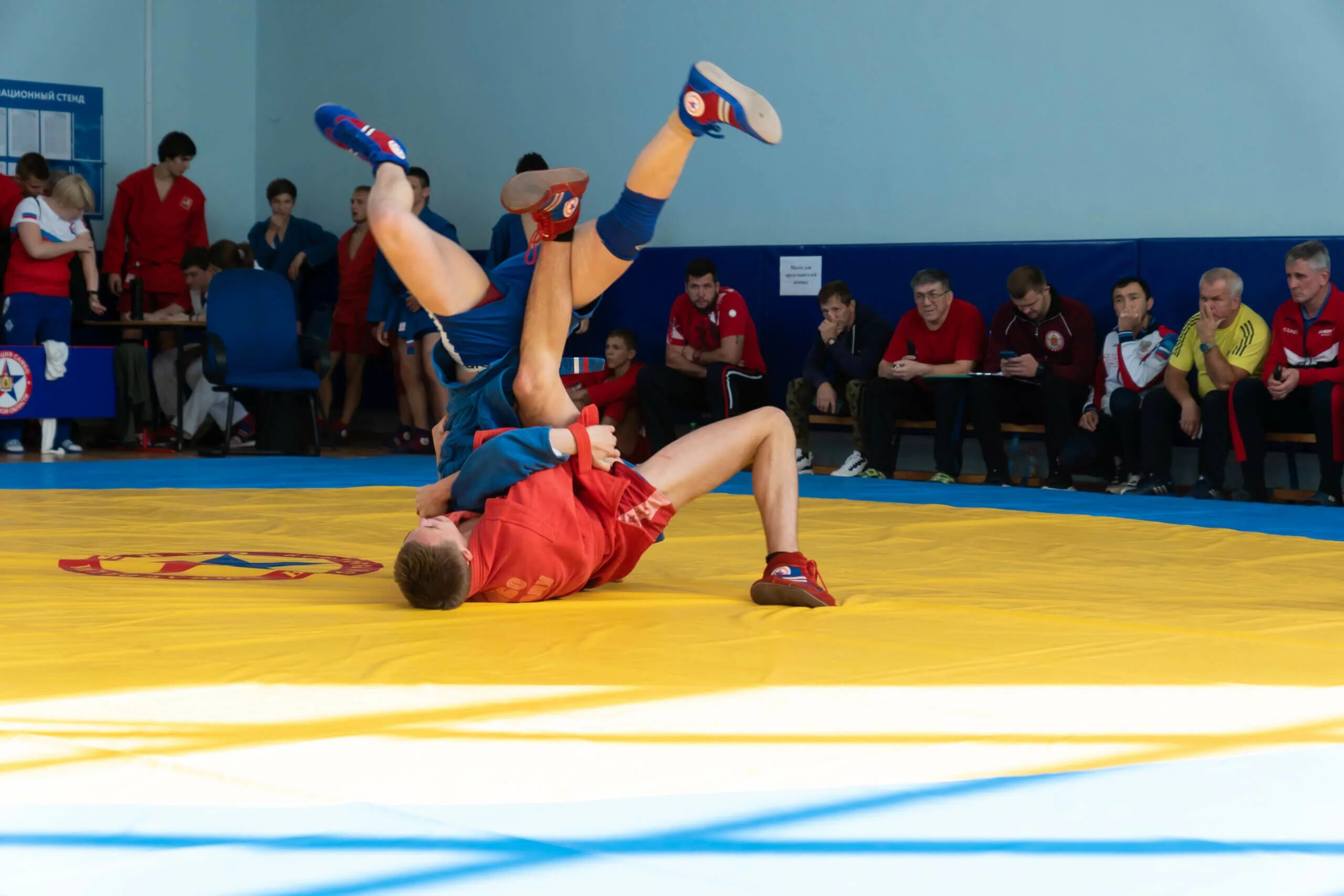 Zа самбо чувашия. Колиев тамик самбо. Самбо 7. Сабашвили самбо. Оргакин самбо.