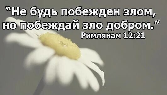 Воздающие злом за добро. Побеждать зло добром. не будь побежден злом но побеждай зло добром. добро побеждает. добром на зло.