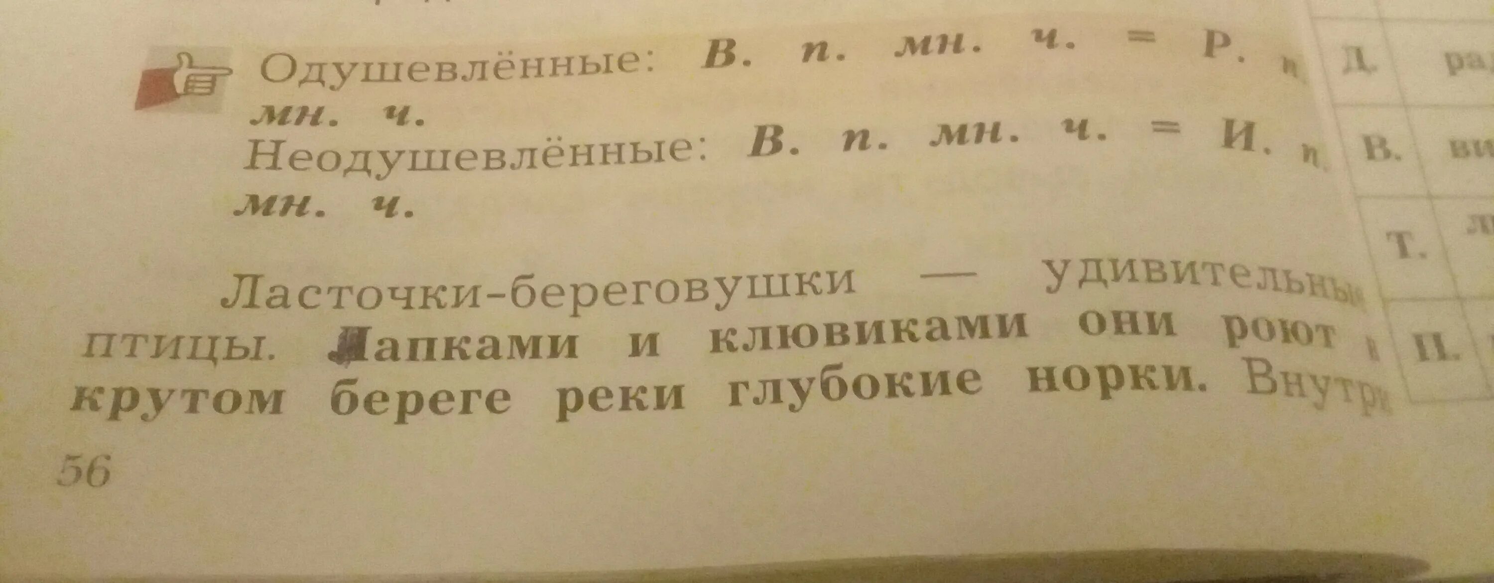 Прочитай текст найди три одушевленных и три. Прочитай текст Найди три одушевлённых и три. Прочитай слова Найди одушевленные. 3 Одушевленных и 3 неодушевленных предложений. Прочитай текст 3 выделенных существительных.