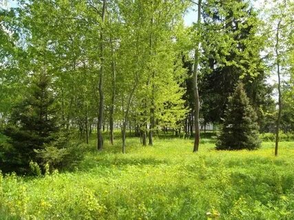Участки в чеховском районе