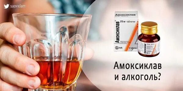 Пиво и антибиотики можно. Антибиотики и алкоголь. Амоксиклав и алкоголь. Антибиотик амоксиклав и алкоголь.