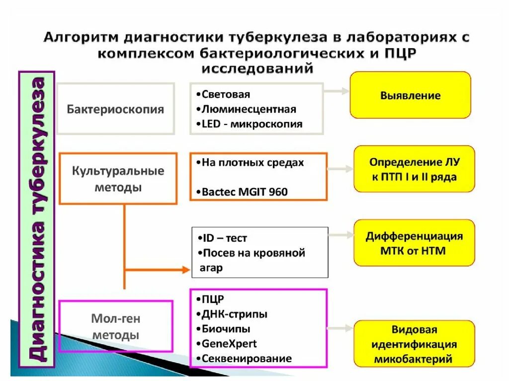 Методы диагностики туберкулеза фтизиатрия. Методы диагностики туберкулеза схема. Диагностика туберкулеза лабораторные методы. Методы диагностики туберкулеза микробиология. Обследование при туберкулезе легких