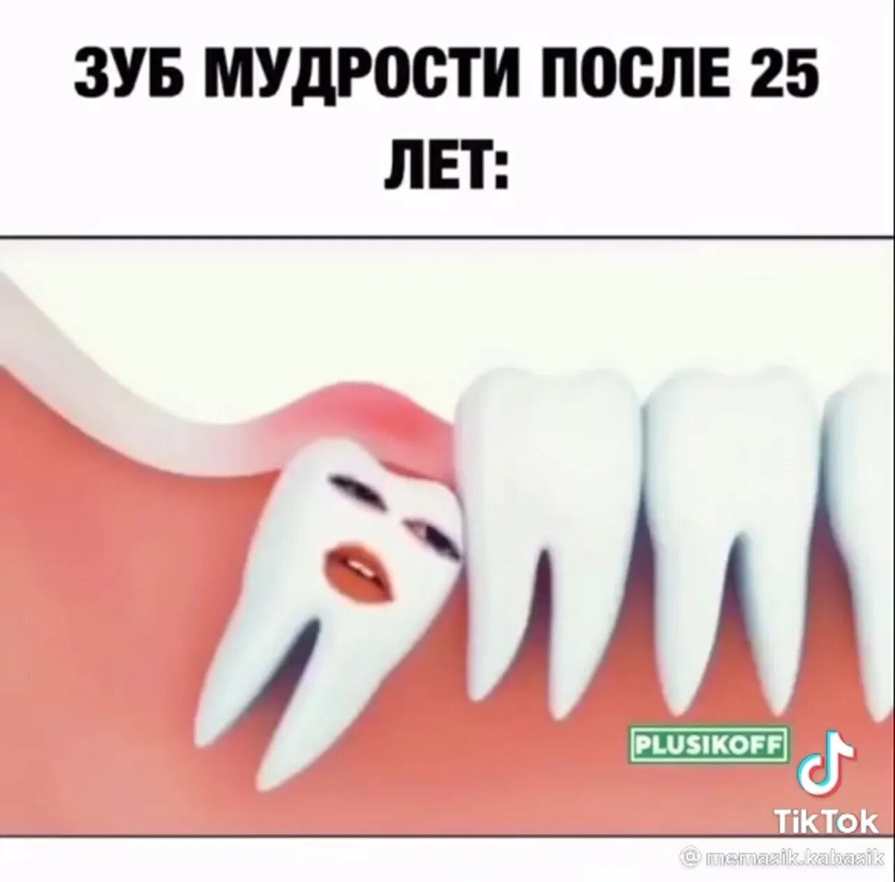 Наводящие суету. Зуб мудрости суету навести. зуб мудрости суету навести охота.