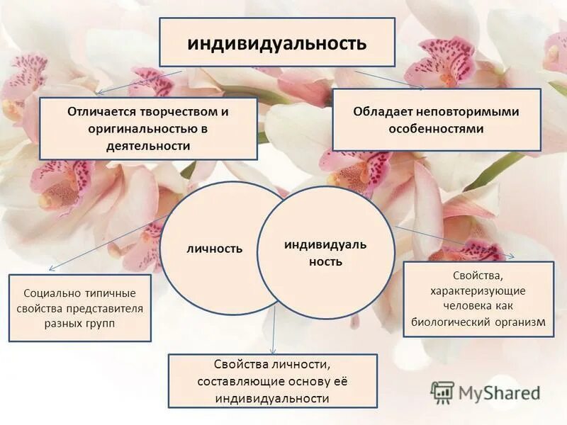 Чир такое индивидуальность. Личность и индивидуальность. Выразить индивидуальность. Индивидуальность проявляется в. В чем проявляется индивидуальность человека.