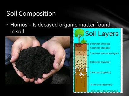 Soil перевод