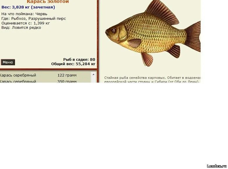 Вес среднего карася. Русская рыбалка 3 карась. Карась 100 грамм размер. Разрешённых размер карася. Русская рыбалка 3.