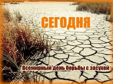 День засухи