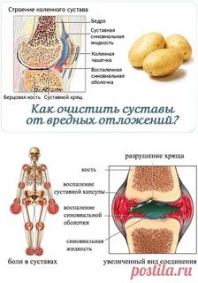 Коленный сустав диета