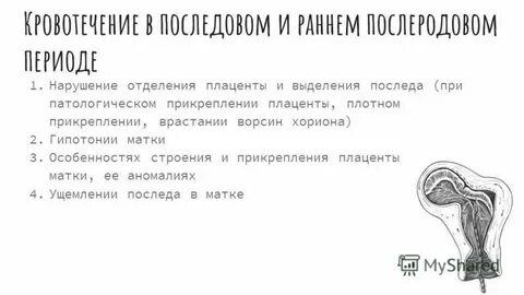 Тонус матки 1 триместр форум