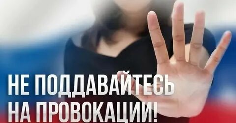 Статья за провокацию