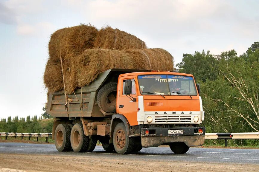 Грузовик КАМАЗ 55111. КАМАЗ 55111 сено. КАМАЗ 55111 седельный тягач. КАМАЗ 55111 дорожный. Груженный грузовик