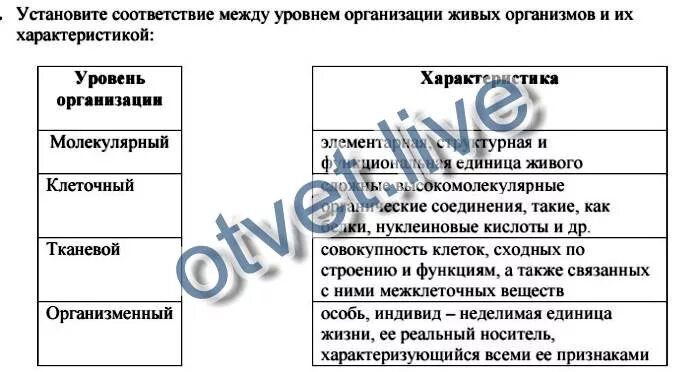 Рост и развитие уровень организации. Установите соответствие между уровнями. установите соответствие уровень организации живых организмов. соответствие между свойствами живых организмов и его характеристики. уровни организации живой природы таблица.