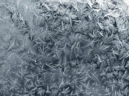 Freeze