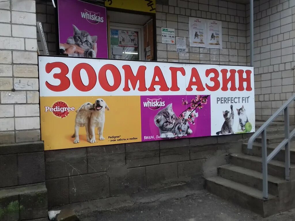 время работы зоомагазина. время работы зоомагазина. зоомагазин вывеска. плакат зоомагазина. зоомагазин зоомагазин.