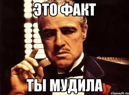 Мудите