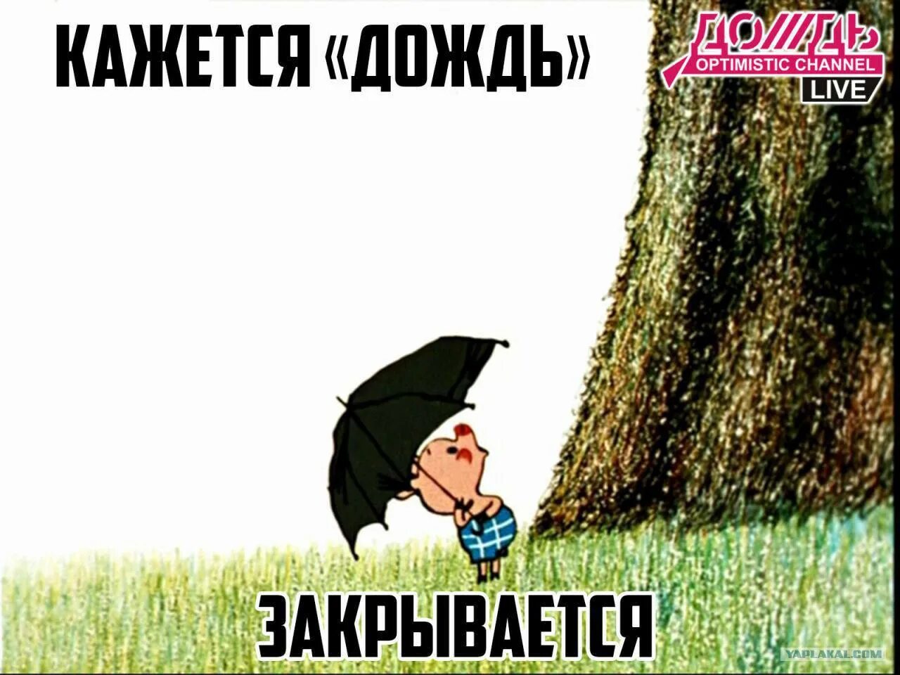 Кажется дождь начинается. Пятачок кажется дождь начинается. кажется дождь закрывается. кажется дождь собирается пятачок.