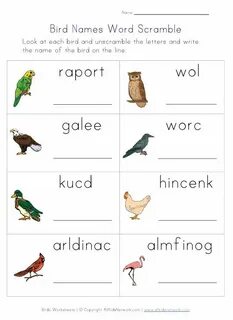 Bird перевод на русский язык