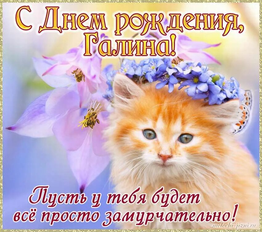 Открытка с днем рождения галя прикольные. Открытка с днём рождения с радугой. С днем рождения радуга. Поздравления с днём рождения женщине галине прикольные. С днём рождения отервтки.