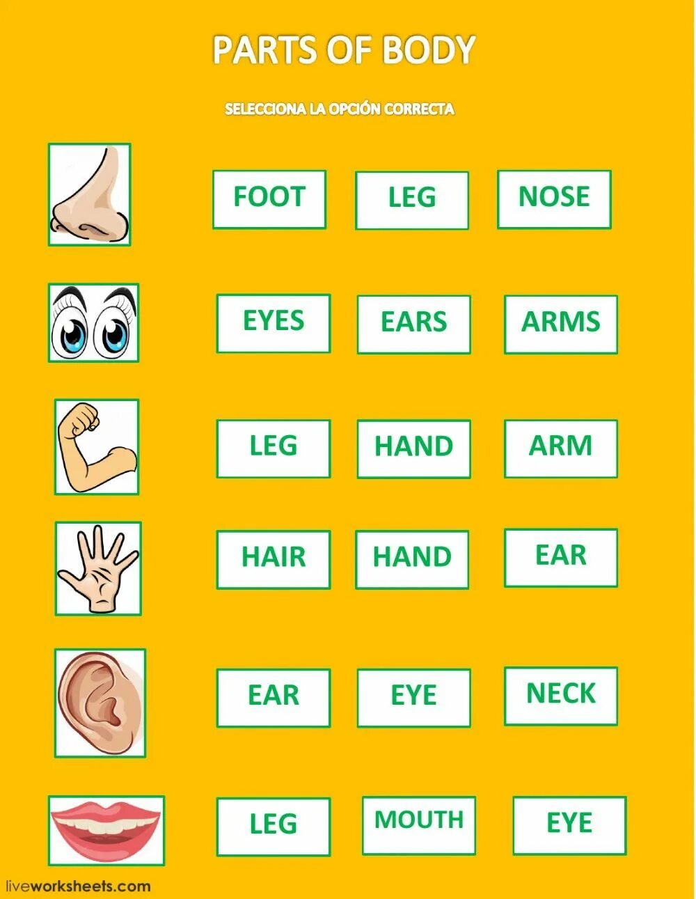 Eyes ears mouth nose