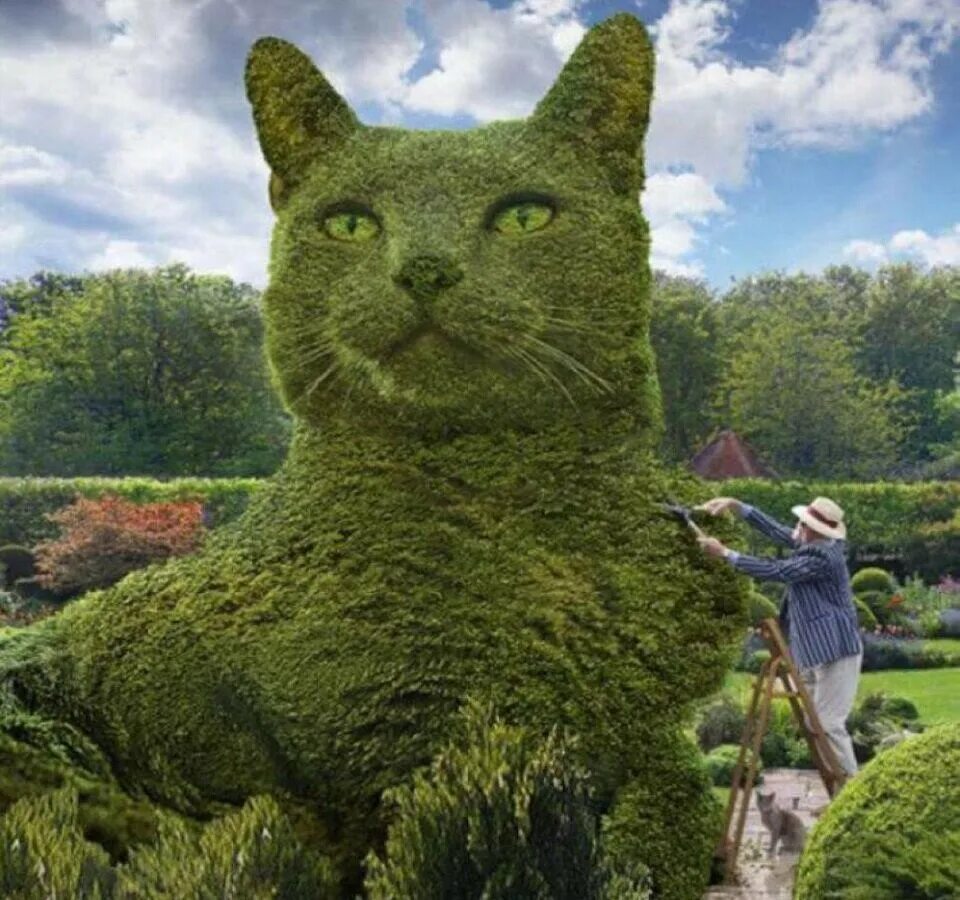Парк котов. Парк кото кустов Ричарда Сондерса.Англия. Фигурная стрижка деревьев. Фигуры из кустарников.