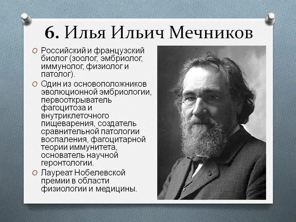 Информация про ученого. Ученые биологии Мечников.