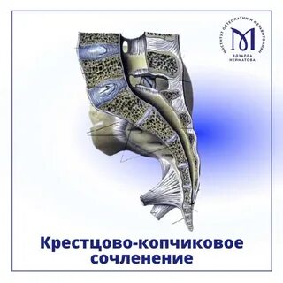 Артроз крестцово копчикового сочленения что это