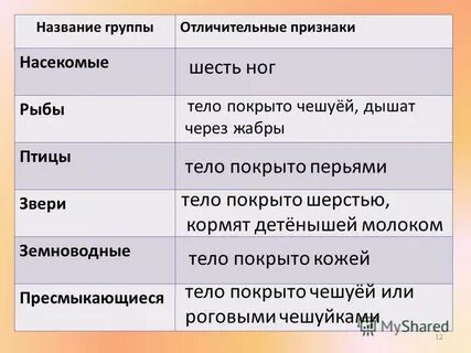 Важнейшие признаки зверей 2 класс окружающий мир