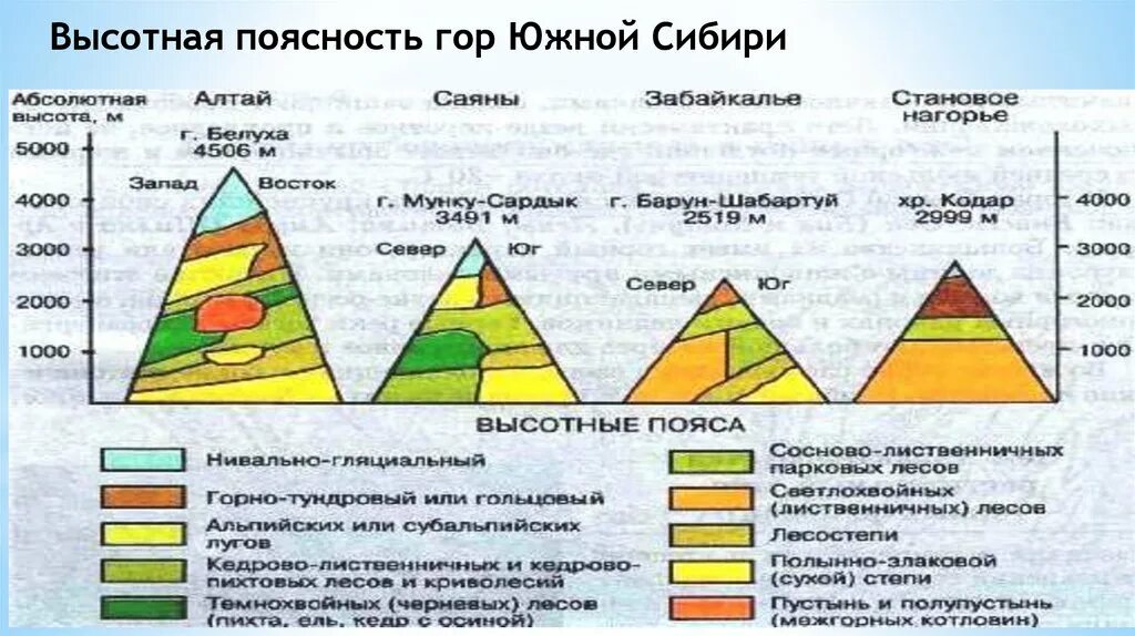 Схема ВЫСОТНОЙ поясности гор Южной Сибири. Высотная поясность Южного Урала. Высотная поясность гор Южной Сибири ,Кавказа, Урала. Высотная поясность в горах Урала. Высотная поясность урала и кавказа