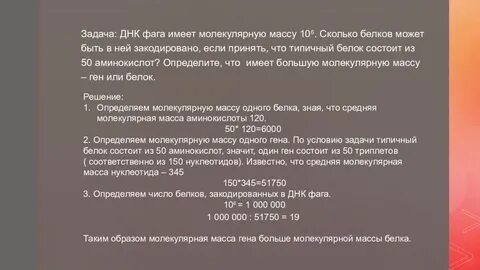 Какова масса днк