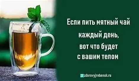 Каждый день пить можно