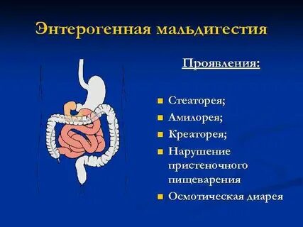Мальдигестия это