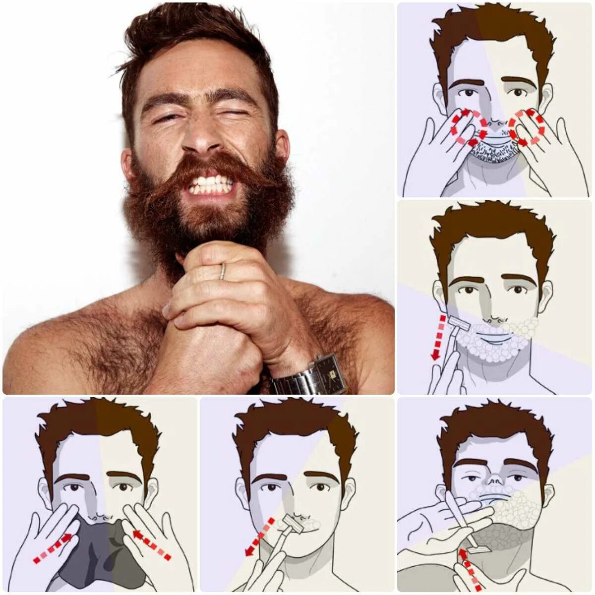 Схема правильного бритья. Бритье бороды. Направление бритья бороды. Правильно бриться.