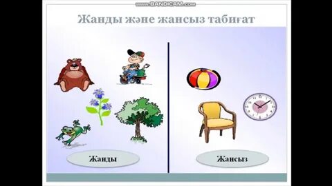 Ірі пландағы порно фильм