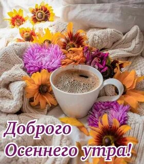 Доброе воскресное утро октября картинки красивые