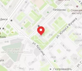 Карта улица васильевская