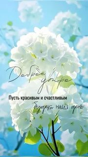 Самое доброе утро 2024 картинки