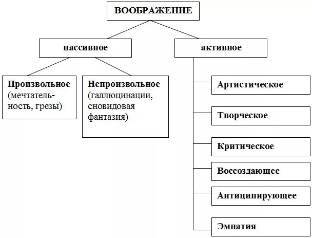 Особенности воображения ребенка дошкольного возраста. Развитие воображения у детей таблица. Воображение в психологии в таблицах. Виды воображения у дошкольников. Классификация видов воображения.