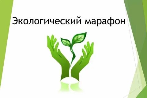 Окружающее надпись