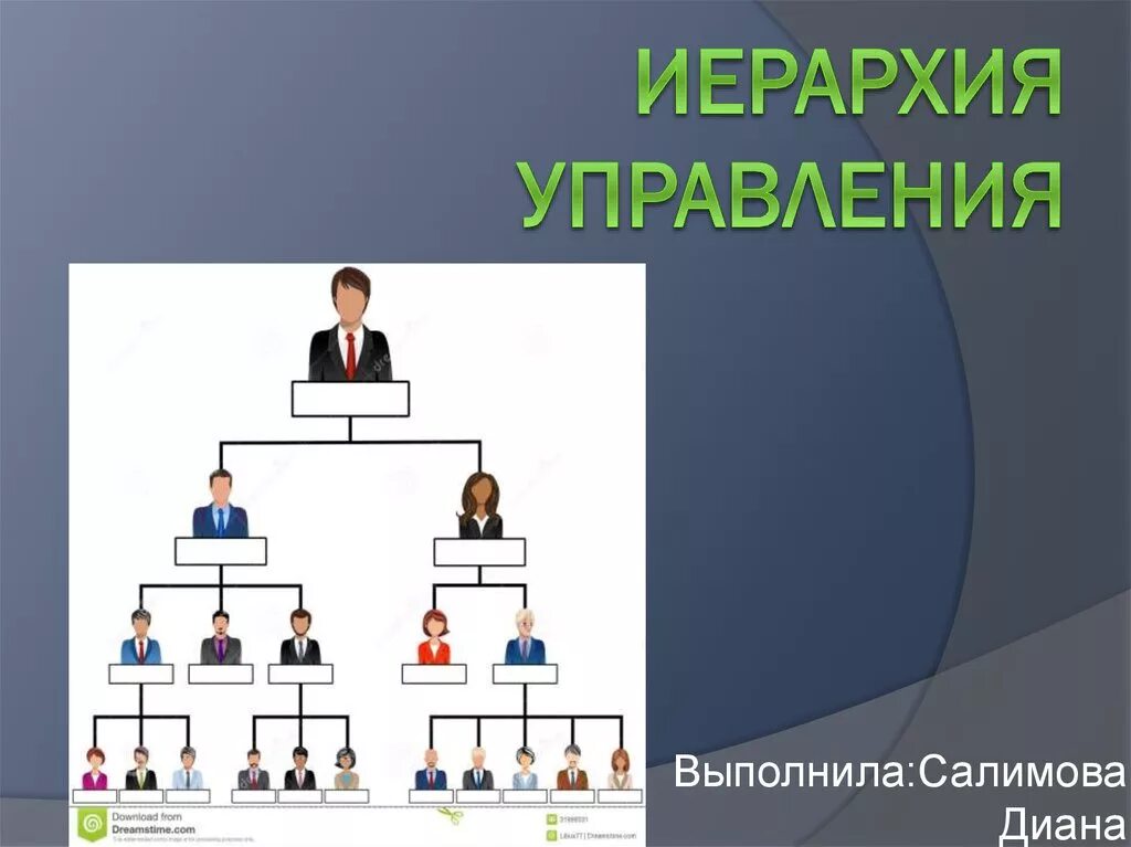 Управленческие иерархии