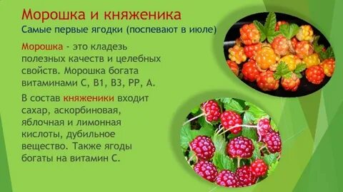 Состав морошки